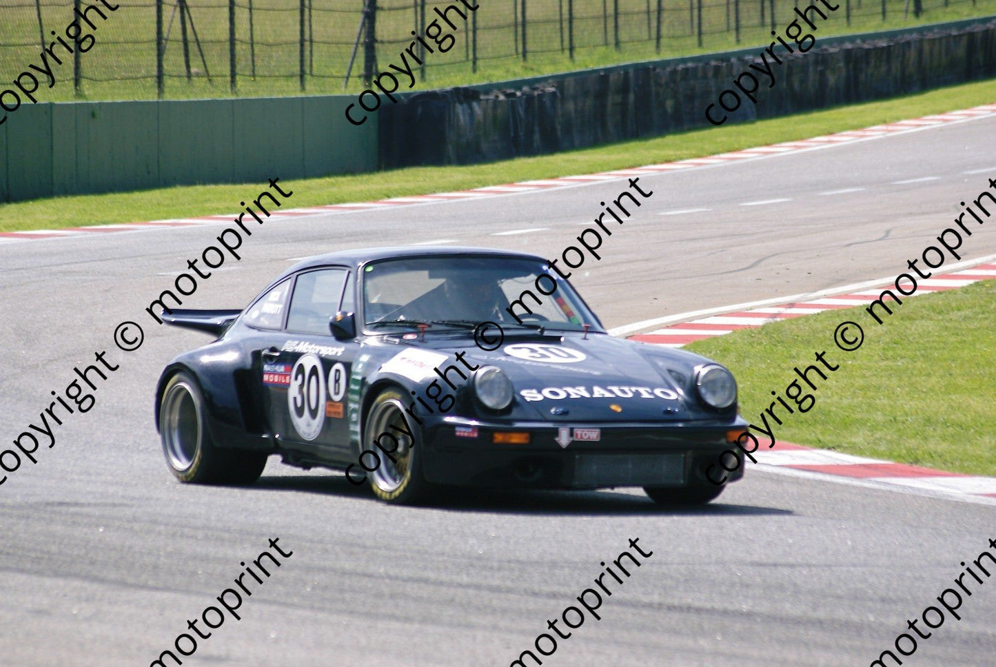 SP 30 Parrott D1000358