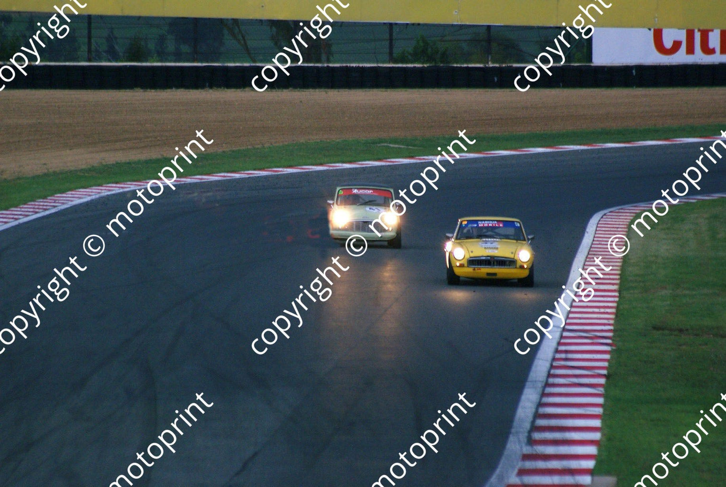 SP 47 Pearce 41Collings Vine D1000504