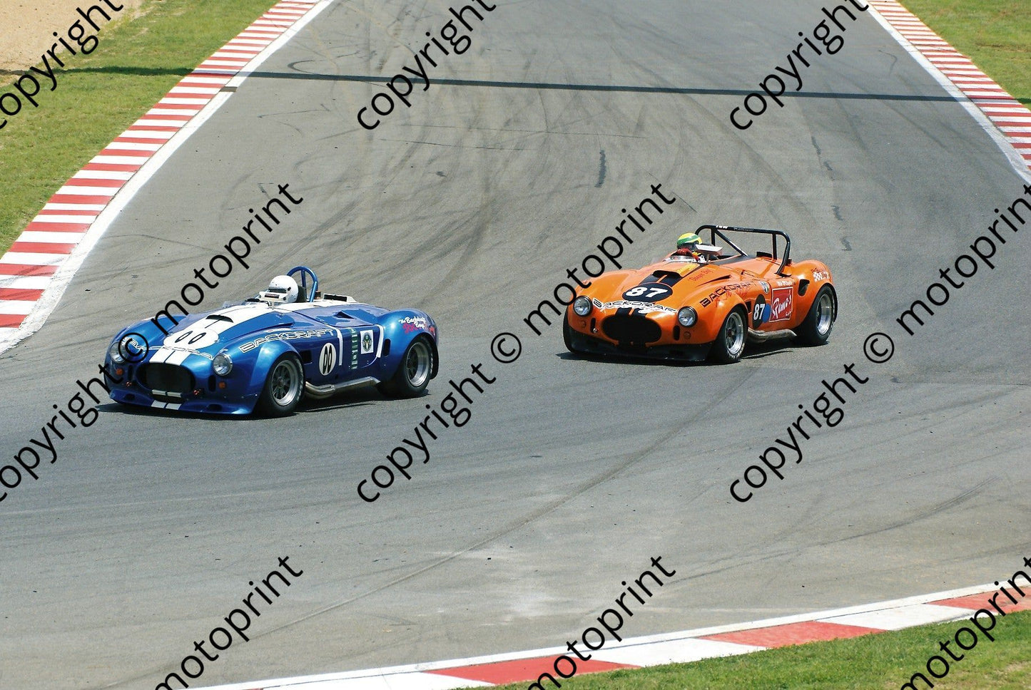 SP 87 Scribante 00 Martin D1000254