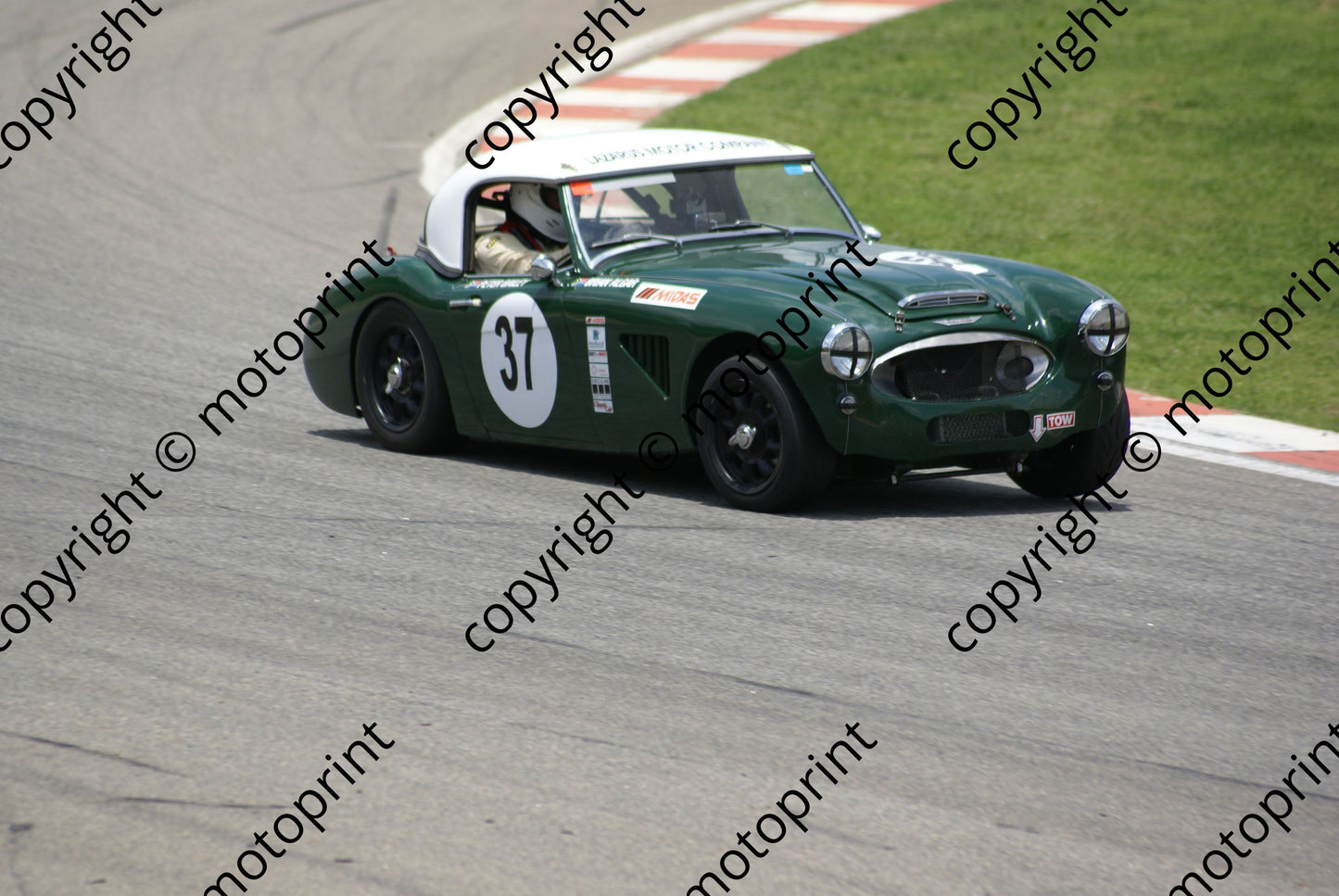 SP Bailey Austin Healey 37 (6) DSC03444 race