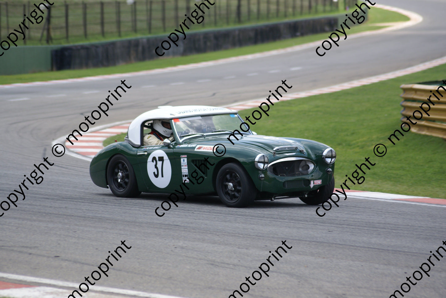 SP Bailey Austin Healey 37 (6) DSC03453 race