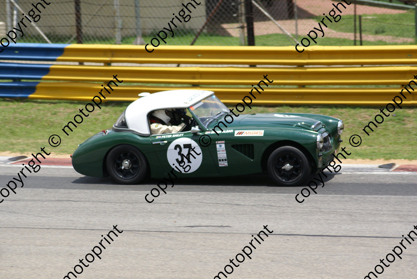 SP Bailey Austin Healey 37 (6) DSC03479 race