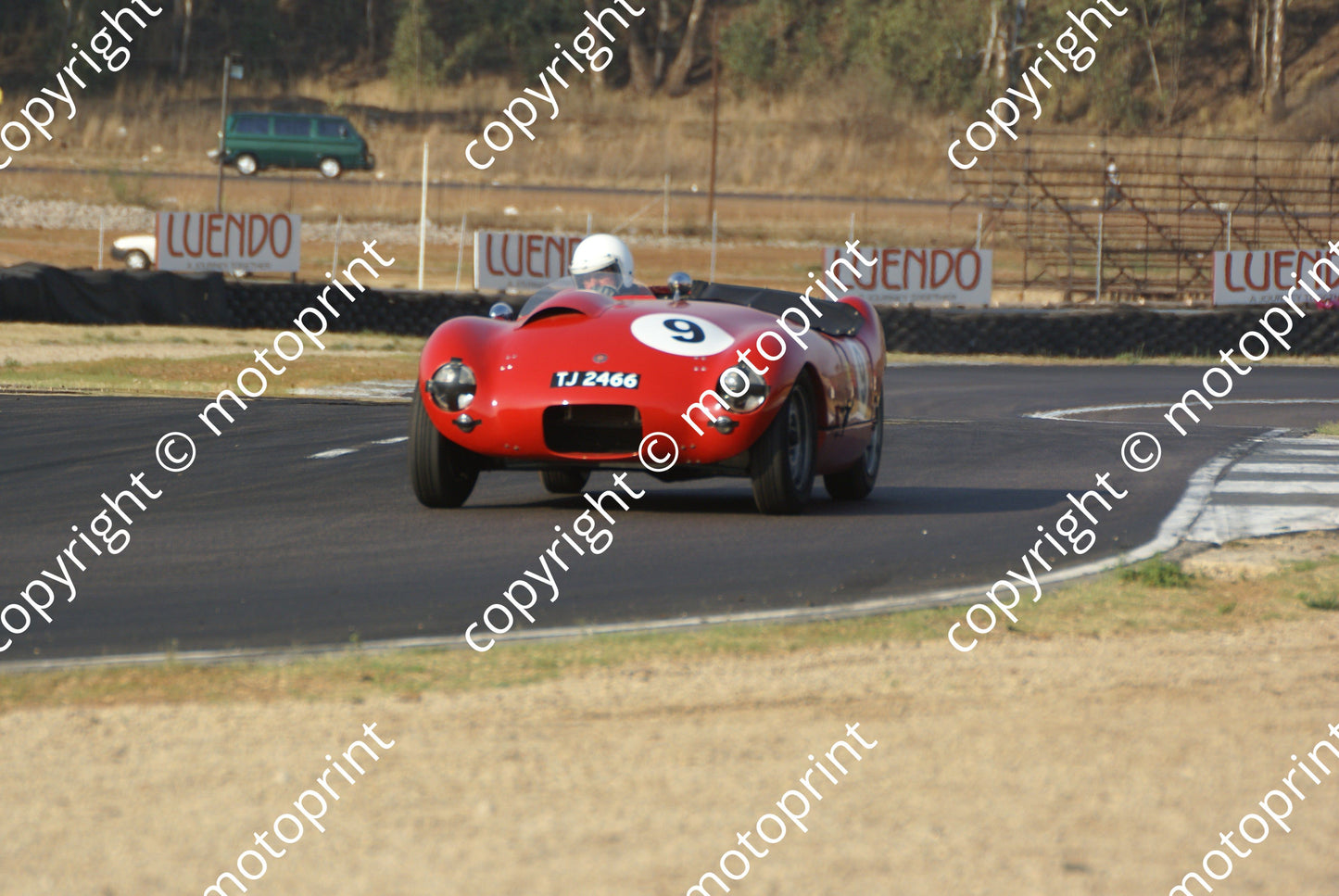 SP Grant Protea 2