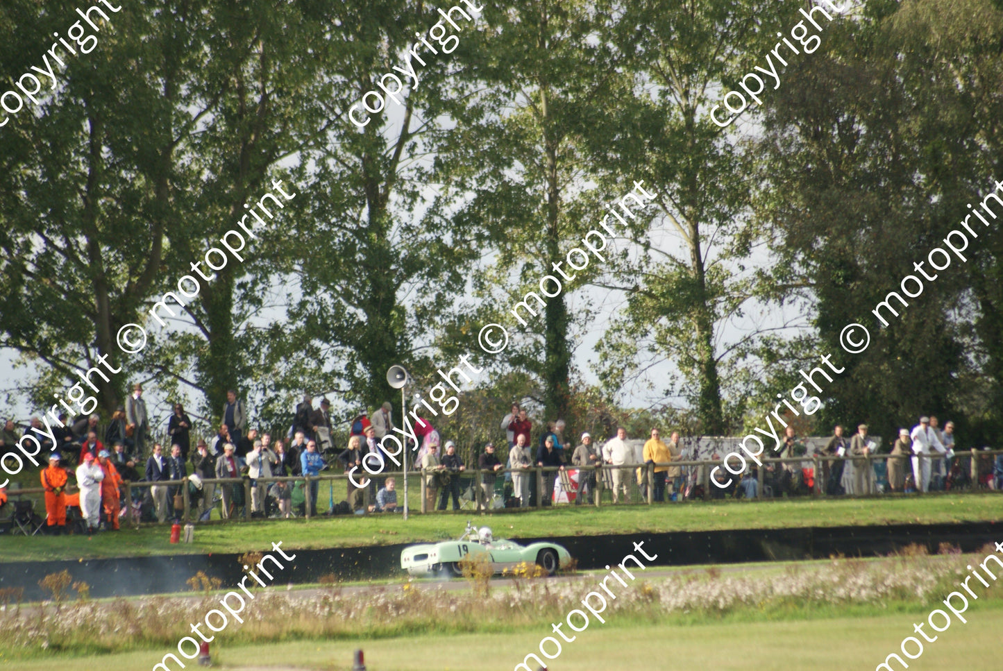 SP 19c 19 Otto Reedtz-Thott Lotus 19 (19)