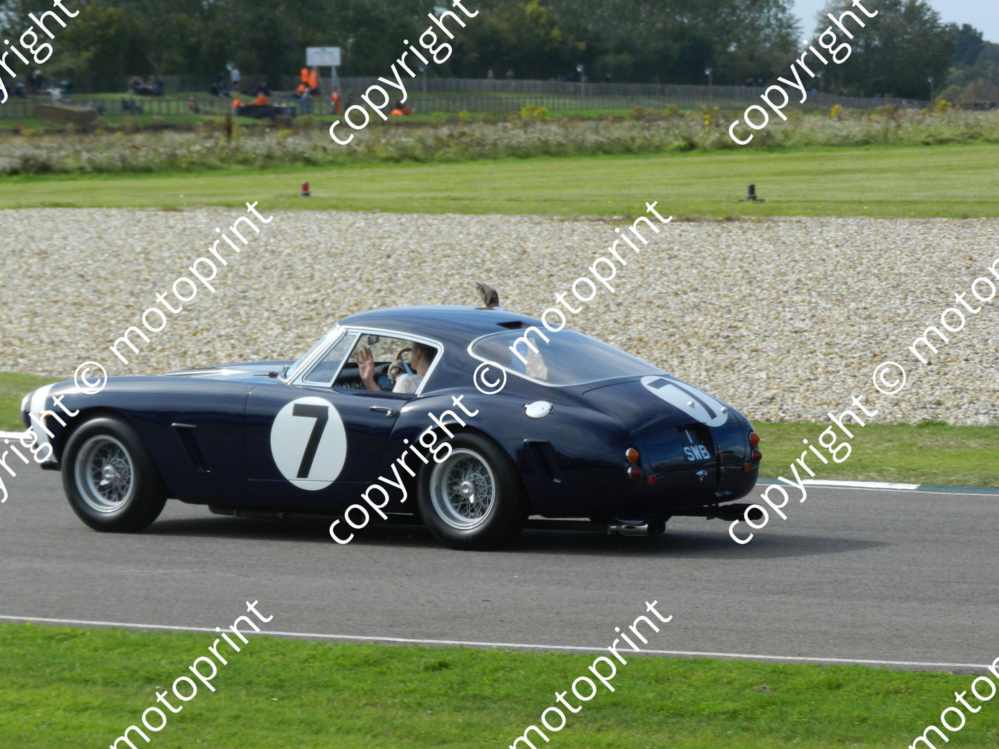 SP Moss Sept 17a (6)