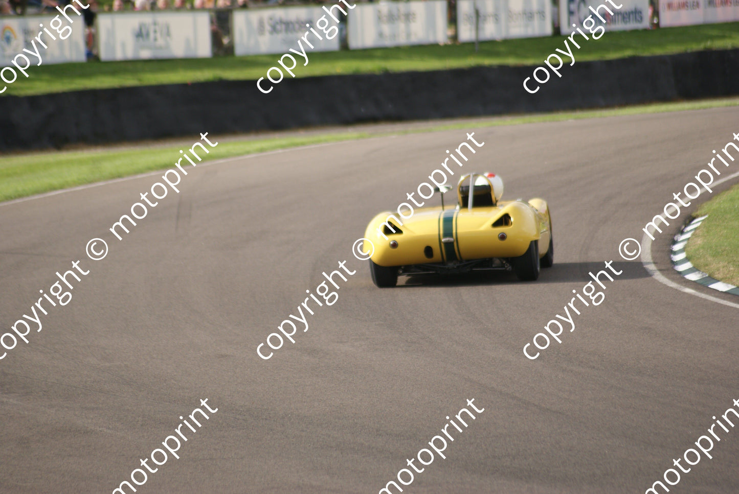 SP race (9)