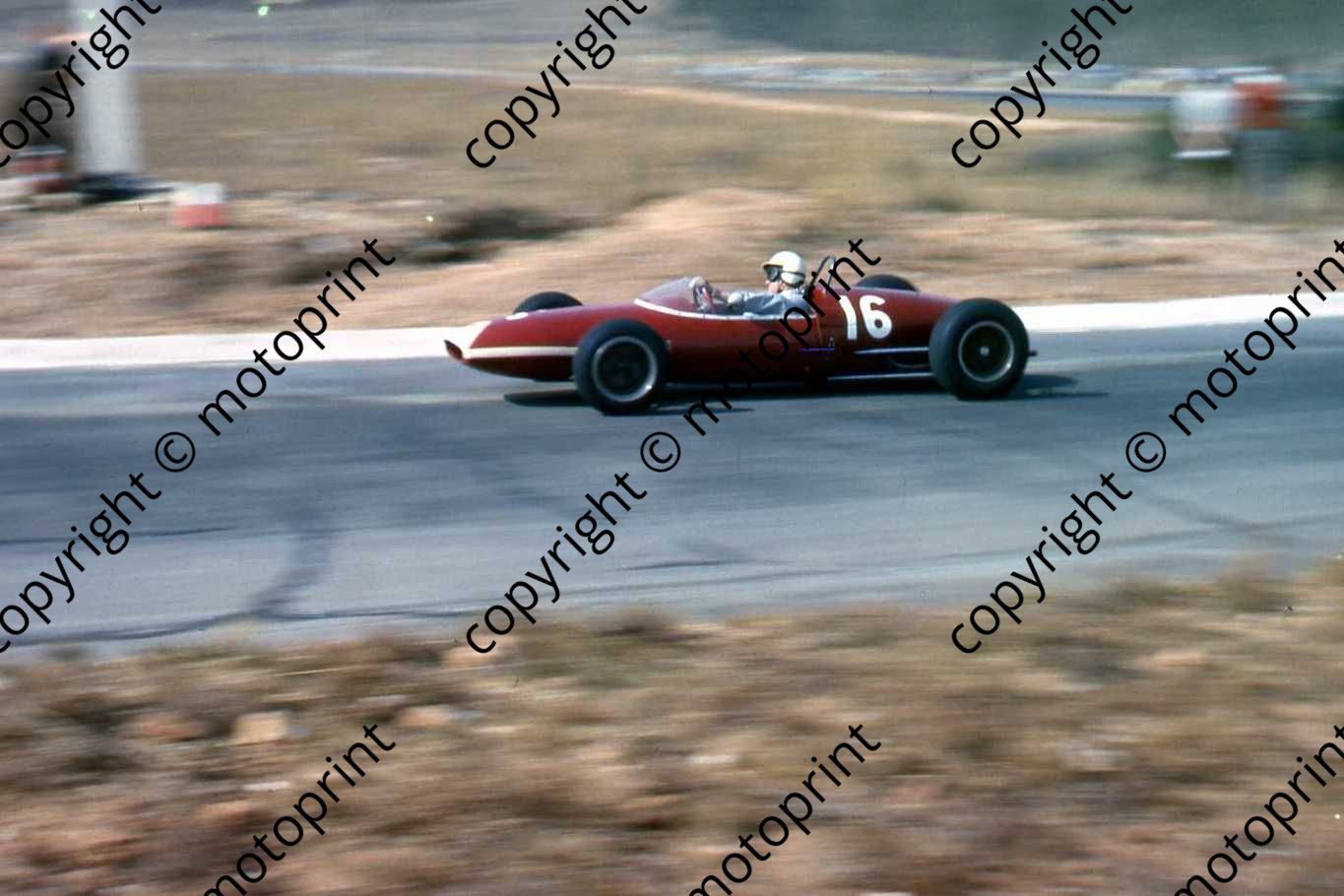 SS Nieman Lotus 22 cropped