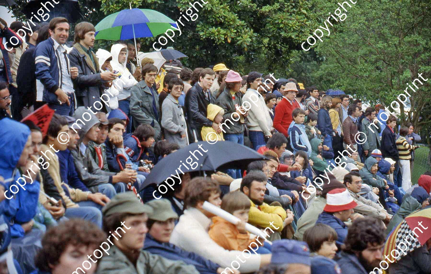 SS Race day wet speccies