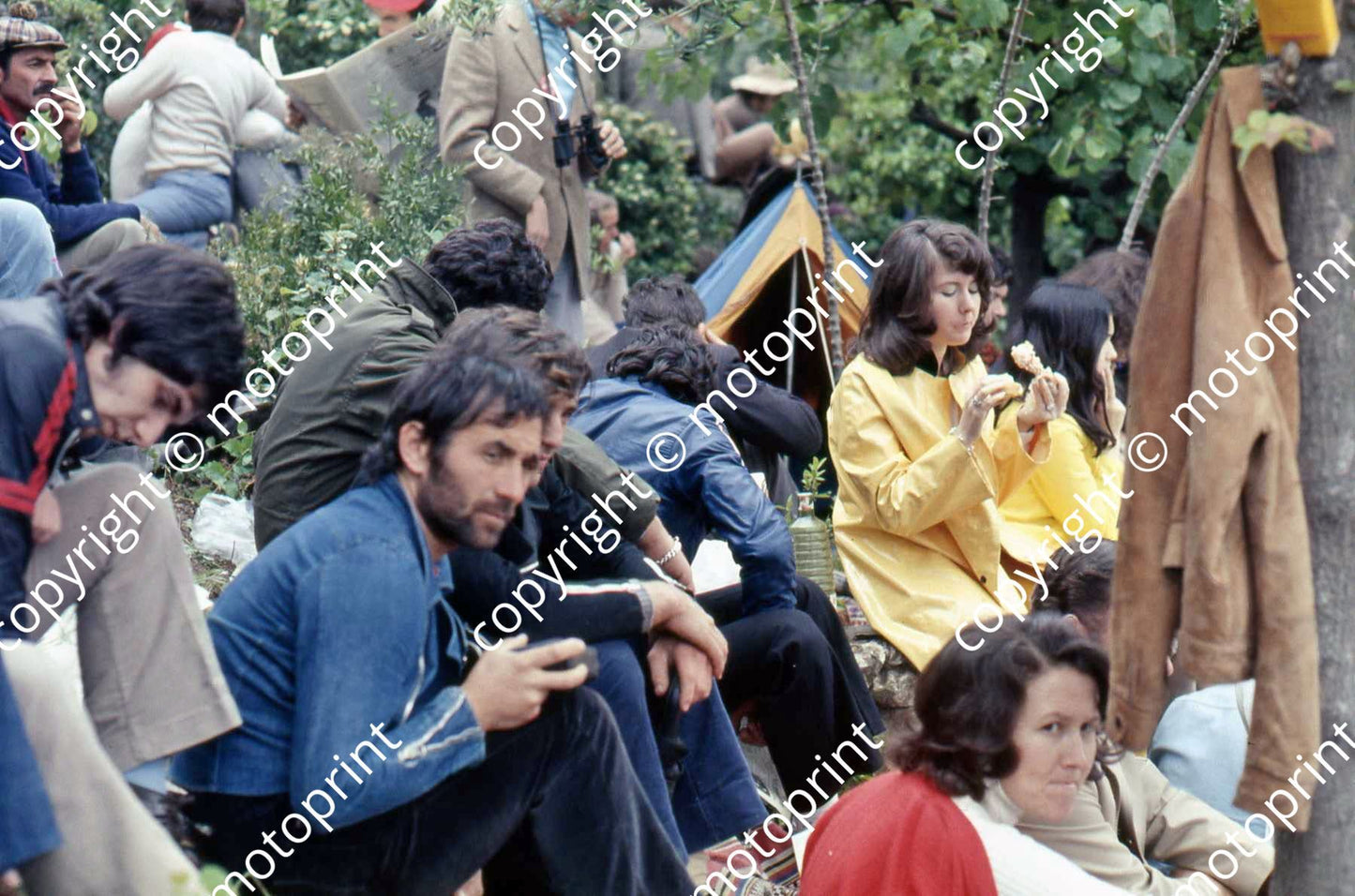 SS Wet race day speccies