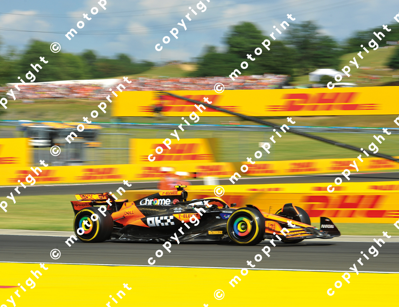 2024 L.Norris McLaren GP Hungary (courtesy Paolo D'Alessio)