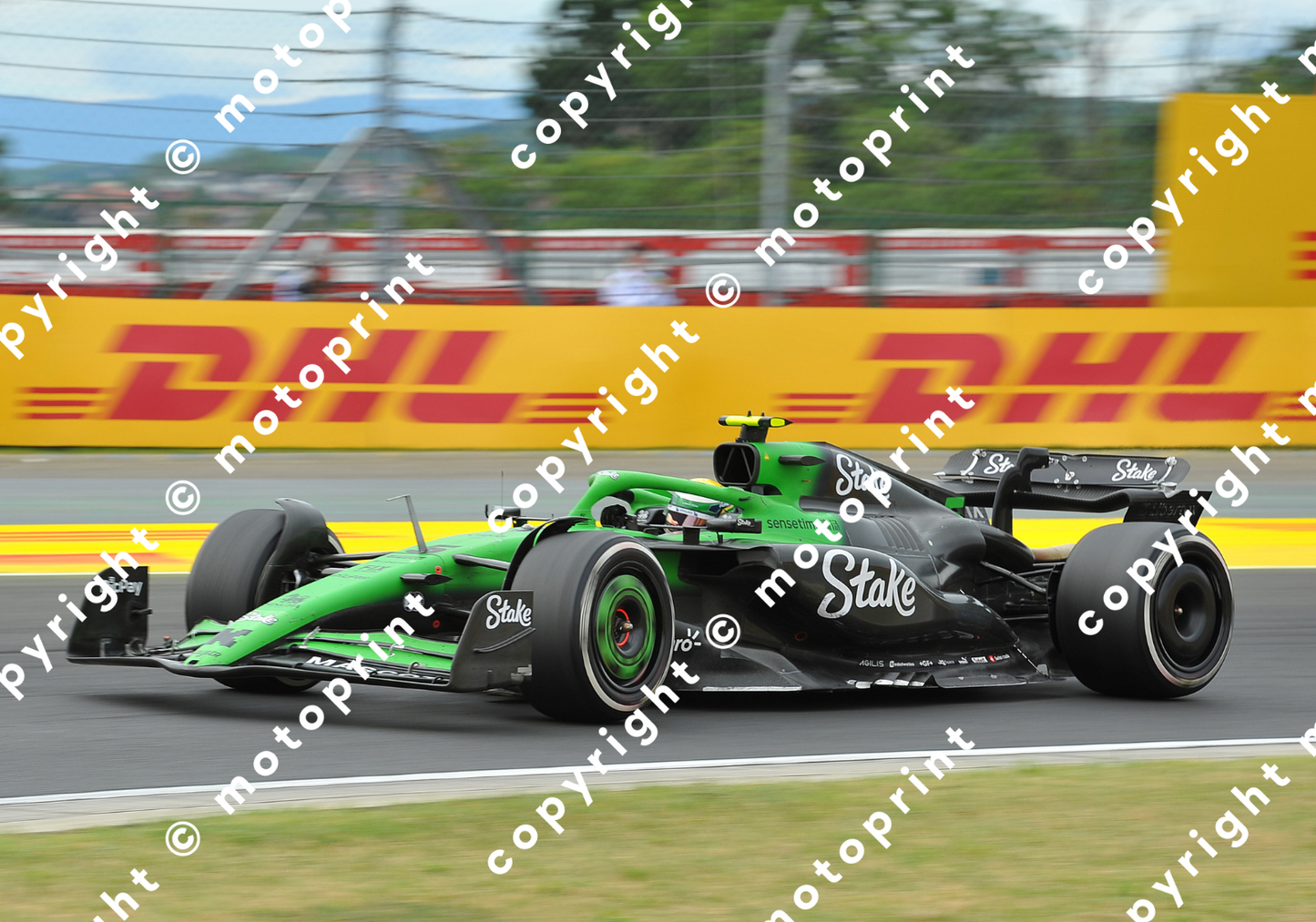 2025 Gabriel Bortoleto Sauber GP Hungary (courtesy Paolo D'Alessio)