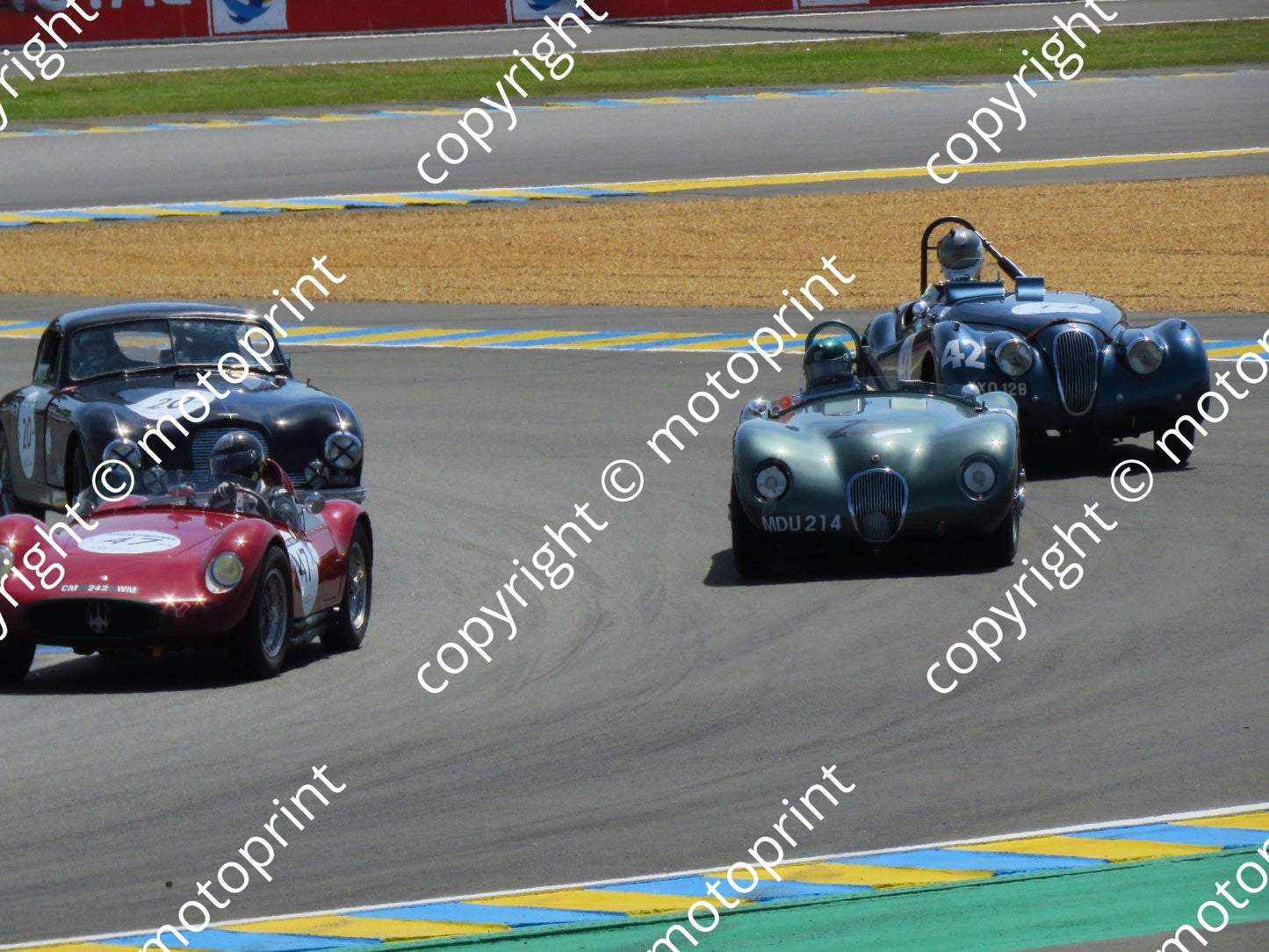 grid 2 20 Aston Martin DB2 Michel Verliefden left back 47 Maserati A6GCS 23 Jag C-type 14 Jag XK120 prac (26)