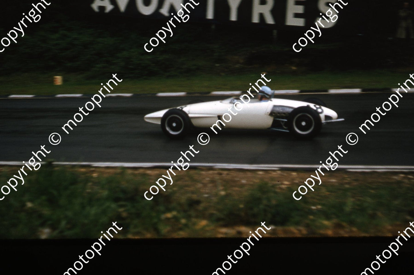 zz Moss hm 300 dpi006