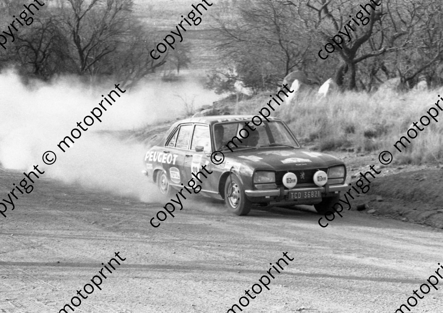 1973 Total 99 Willie Nel, J van Wyk Peugeot 504Ti (courtesy Roger Swan) (15)