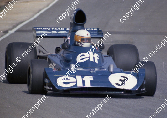 1974 SA GP 3 Jody Scheckter Tyrrell 006 (permission Malcolm Sampson Motorsport Photography) 205