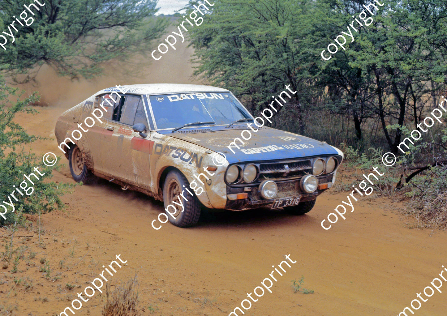 1979 Monsanto 8 Herman Fekken...Datsun (courtesy Roger Swan) (10)