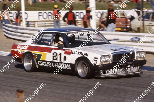 1981 Kya Skyfrate Star prod A21 Datsun 280 Brian Cook  (1)