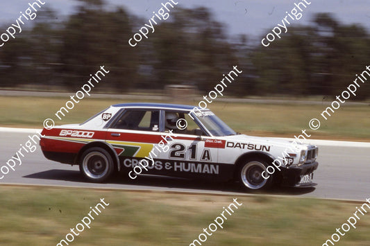 1981 Welkom March Star prod Brian Cook Datsun 280 (courtesy Roger Swan) (3)