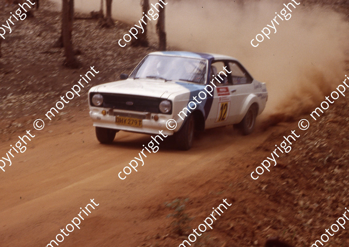 1982 Protea 12  (courtesy Roger Swan) (41)