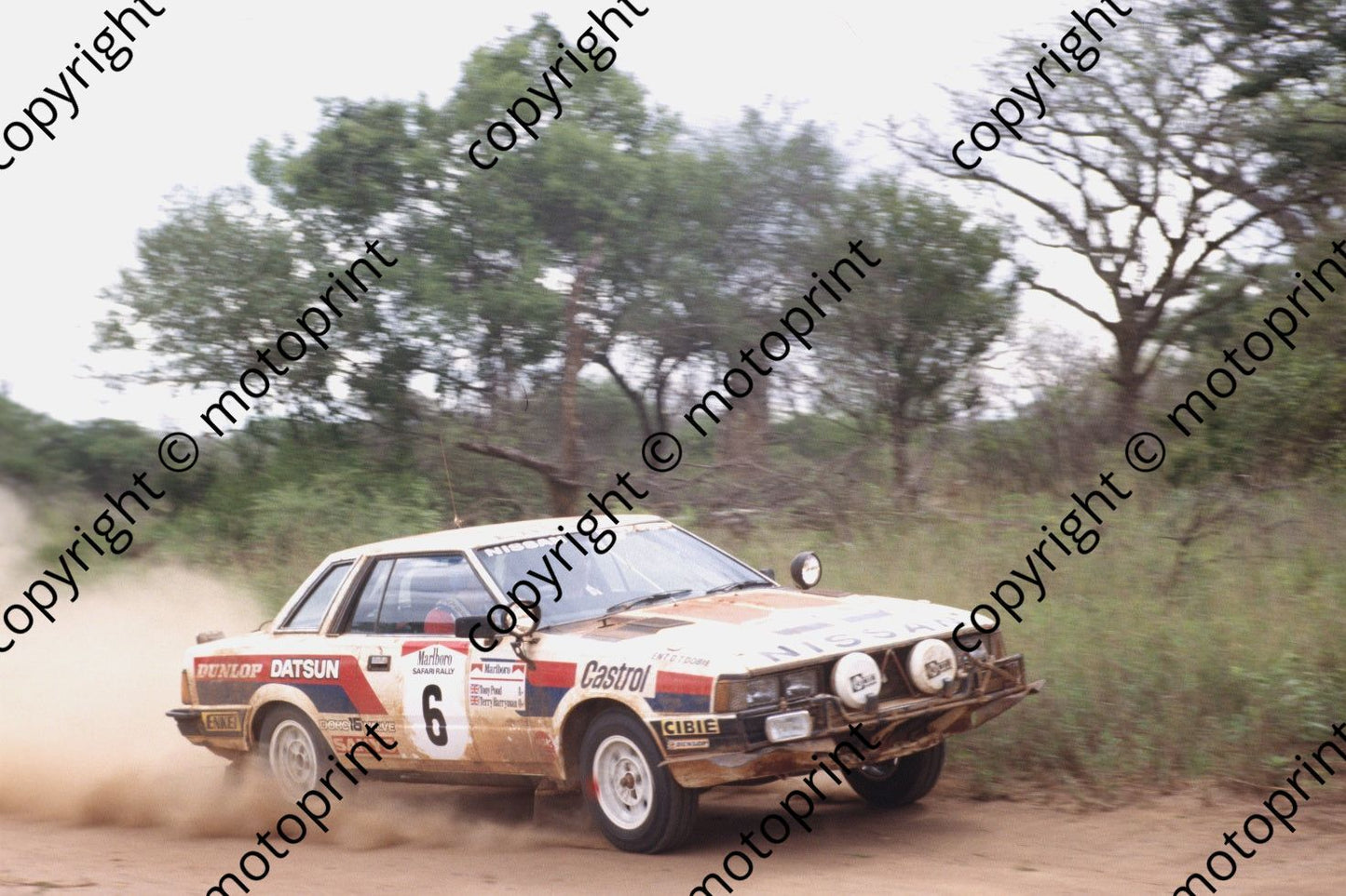 1982 Safari 6 TOny Pond, Terry Harryman Nissan Violet GTS (courtesy Roger Swan) (14)