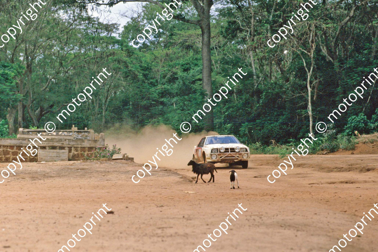 1983 Ivory Coast 4 Per Eklund, Ragnar Spjuth Toyota Celica (courtesy Roger Swan) (20)