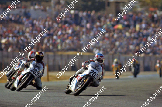 1983 Kya 1 Aug MC 202 Mario Rademeyer 203 JImmy Rodger Yamaha TZ250s (3)