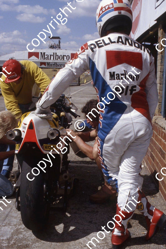 1983 MC SA GP 500 15 Sergio Pellandini Suzuki (permission Roger Swan) (2)