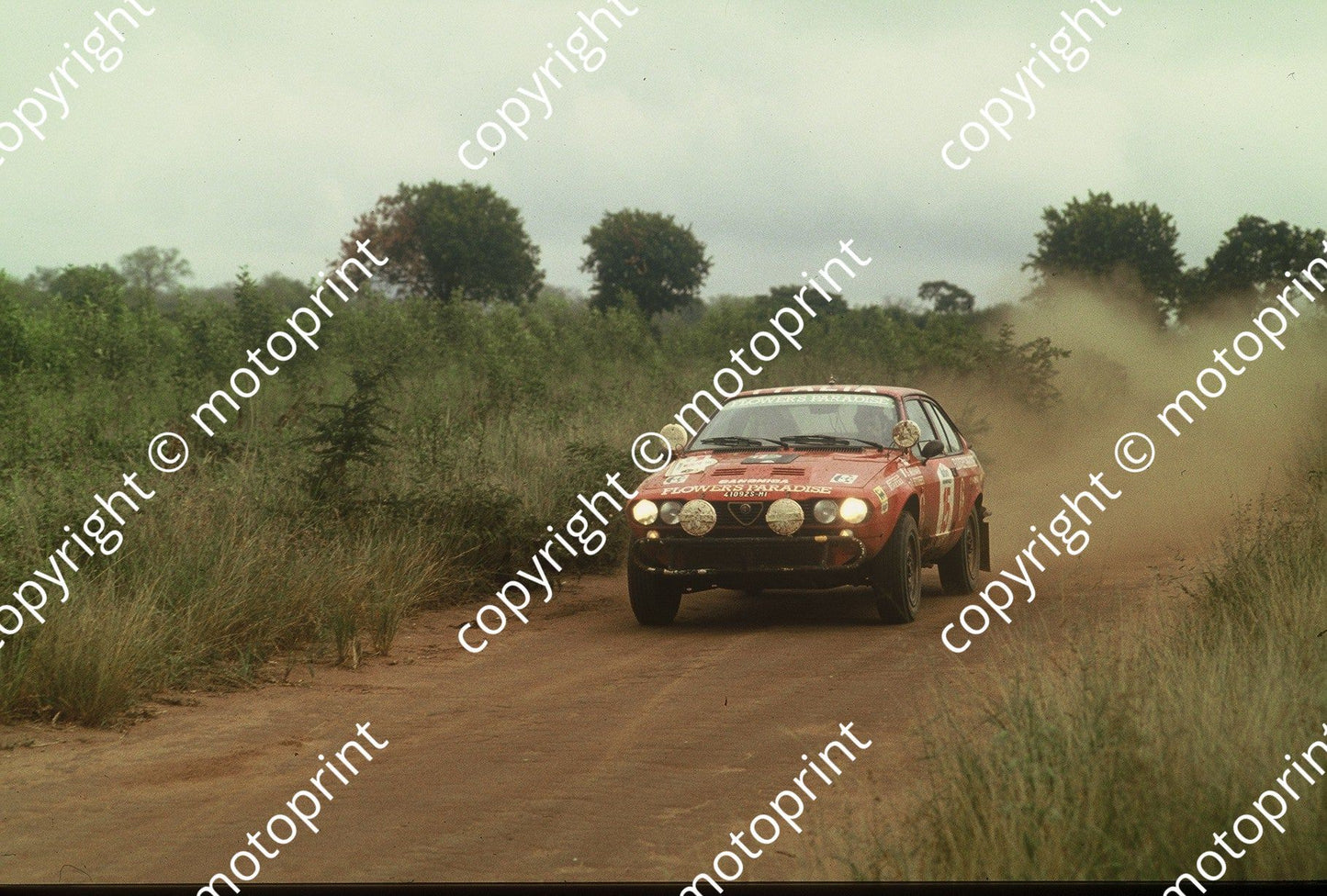 1983 Safari 15 Sandro Munari, Ian Street Alfetta GTV6 (courtesy Roger Swan)  (1)