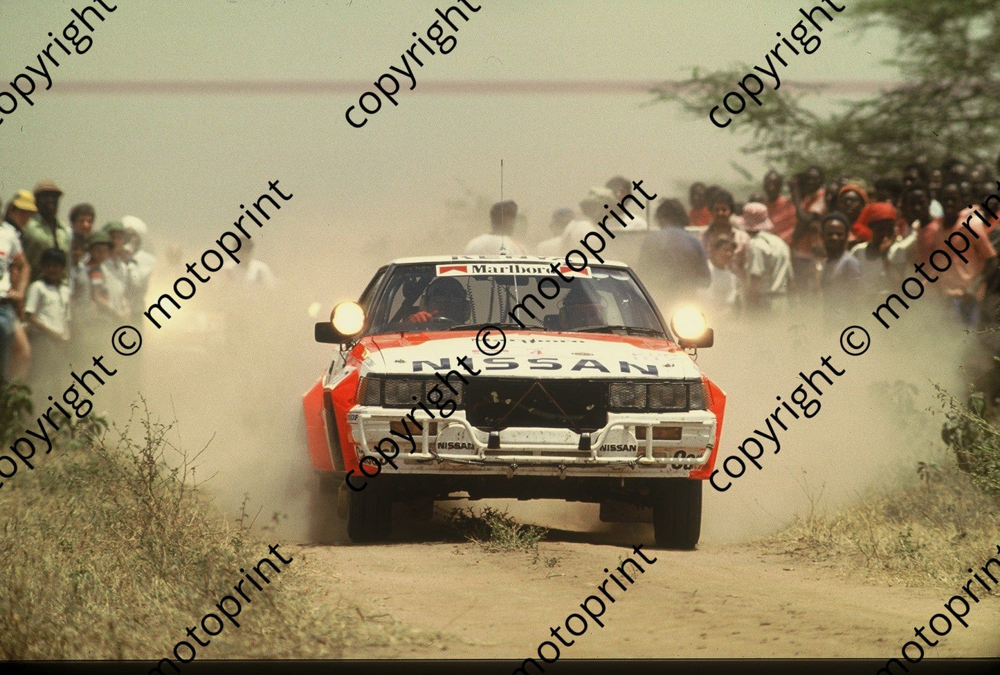 1983 Safari 4 Shekhar Mehta, Rob Combes Nissan 240RS (courtesy Roger Swan) (2)