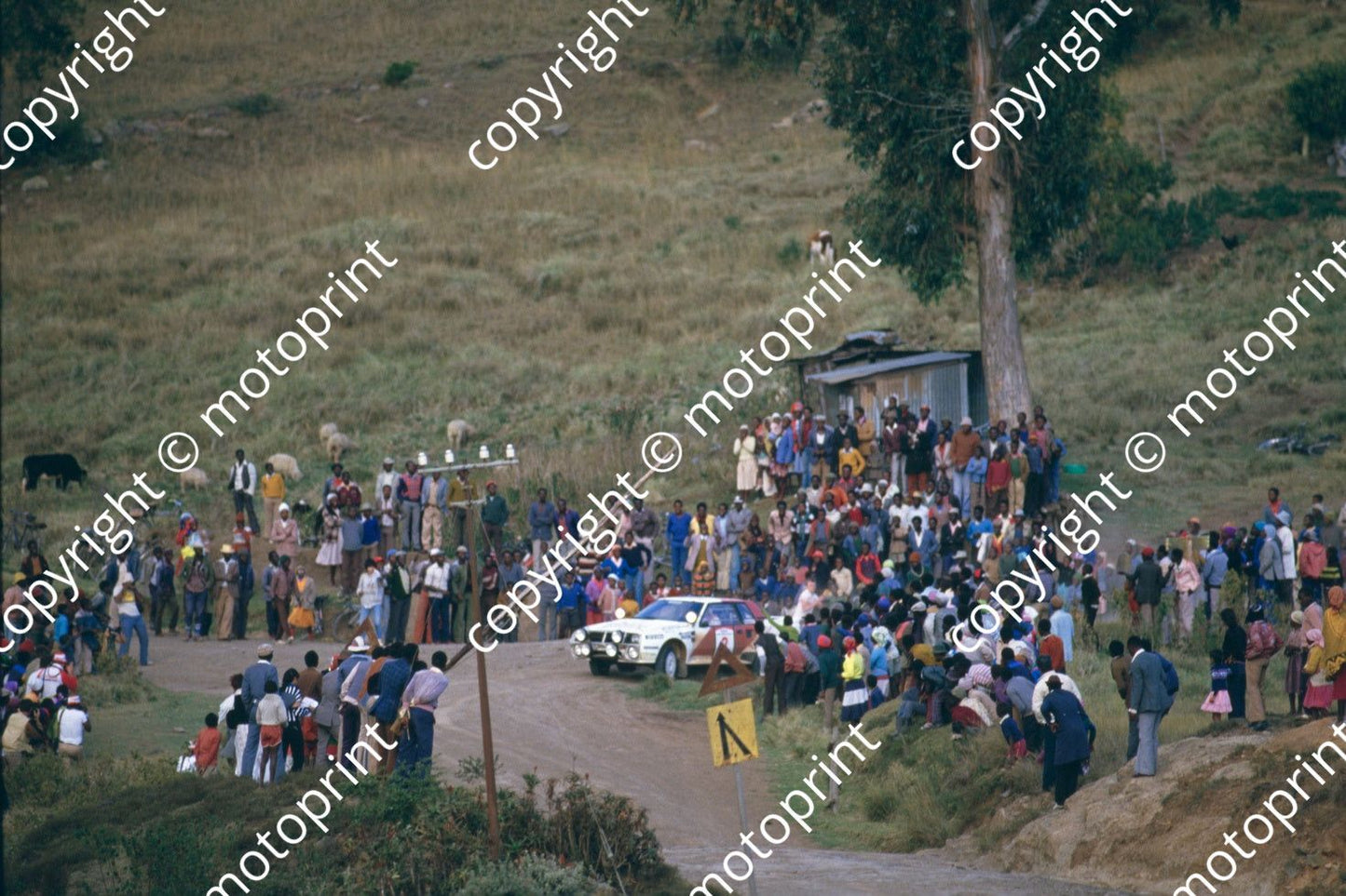 1986 Safari 2 Bjorn Waldegard, Fred Gallagher Celica Twincam turbo (RSwan) (25)