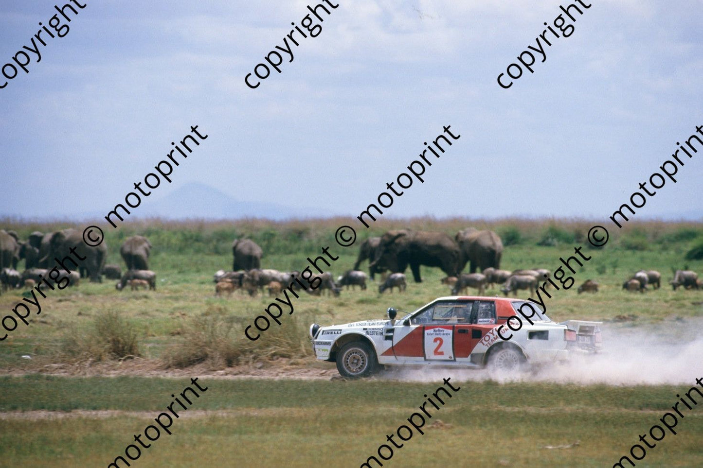 1986 Safari 2 Bjorn Waldegard, Fred Gallagher Celica Twincam wildlife (RSwan) (5)