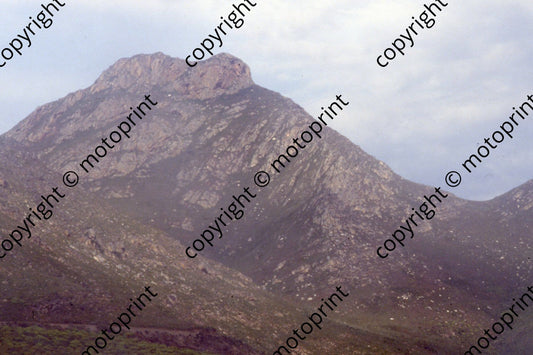 1988 Algoa  (courtesy Roger Swan) (82)