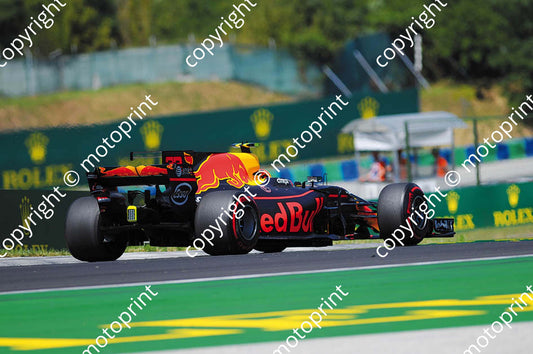 2017 GP Hungary 33 Max Verstappen Red Bull RB13 (Courtesy Paolo D'Alessio) 1 (16)