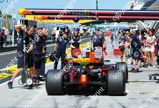 2017 GP Hungary 3 Ricciardo 33 Verstappen Red Bull RB13 (Courtesy Paolo D'Alessio) 1 (133)