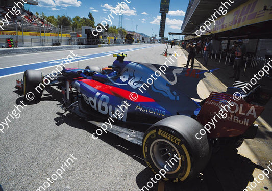2017 Spanish GP 26 Kvyat 55 Sainz Toro Rosso(courtesy Paolo D'Alessio)  (31)