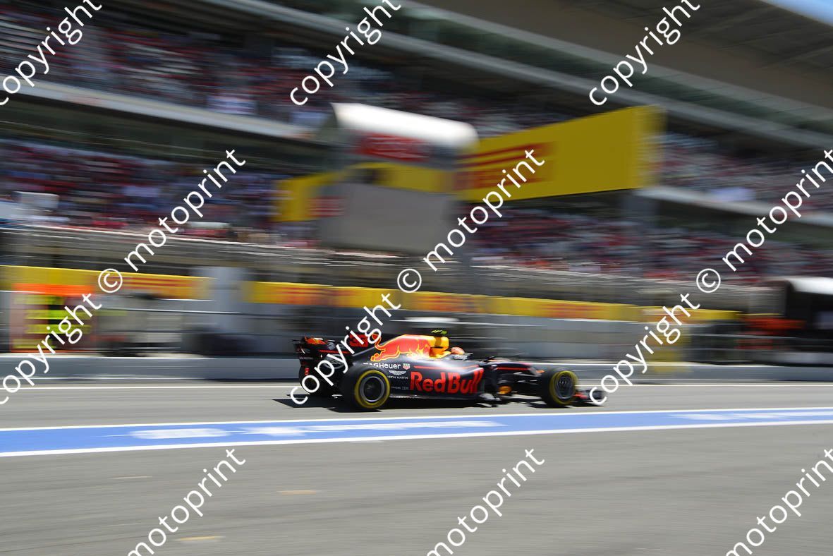 2017 Spanish GP 33 Max Verstappen Red Bull (courtesy Paolo D'Alessio)  (24)