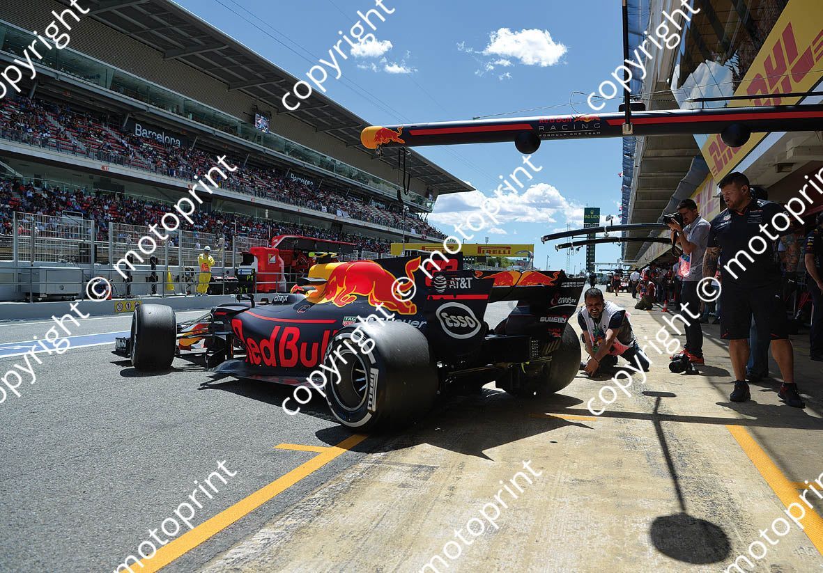 2017 Spanish GP 33 Max Verstappen Red Bull (courtesy Paolo D'Alessio)  (25)
