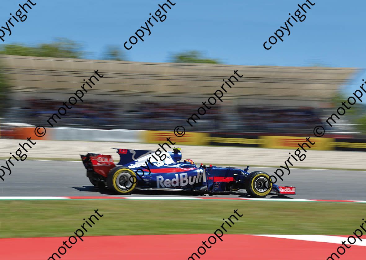 2017 Spanish GP 55 Carlos Sainz Toro Rosso(courtesy Paolo D'Alessio)  (57)