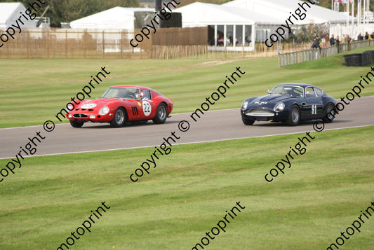 22 Brundle Hales Ferrari 250GTO 91 Draper, M Franchitti Aston Zagato  (39)