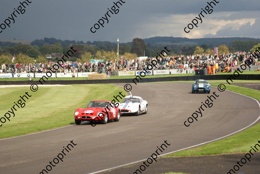 22 Ferrari 250GTO 3 Maserati Type 151 18 Cobra dark sky (22)