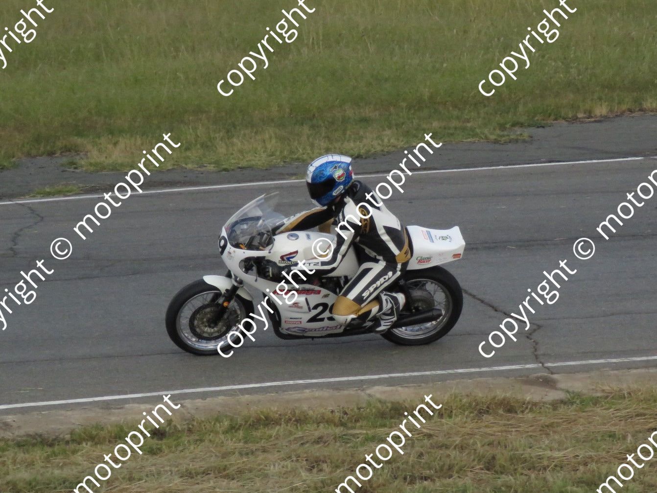 29 IMG_0237