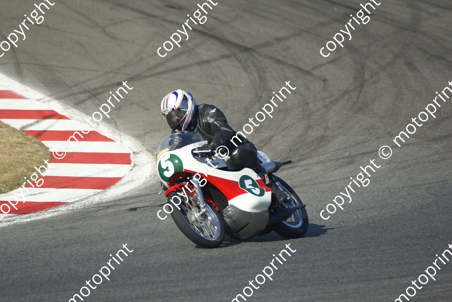 5 Godwin DSC00425