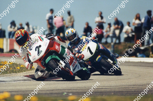 MC 1998 Aldo Scribante CMS series Wood chasing Dreyer 237