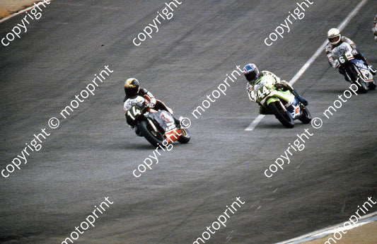 MC Fernandez, Guilleux, De Radigues race Crowthorne