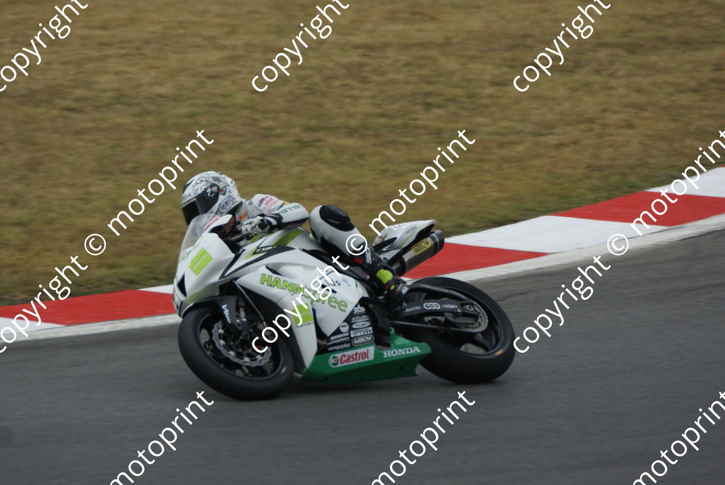Pitt DSC09391