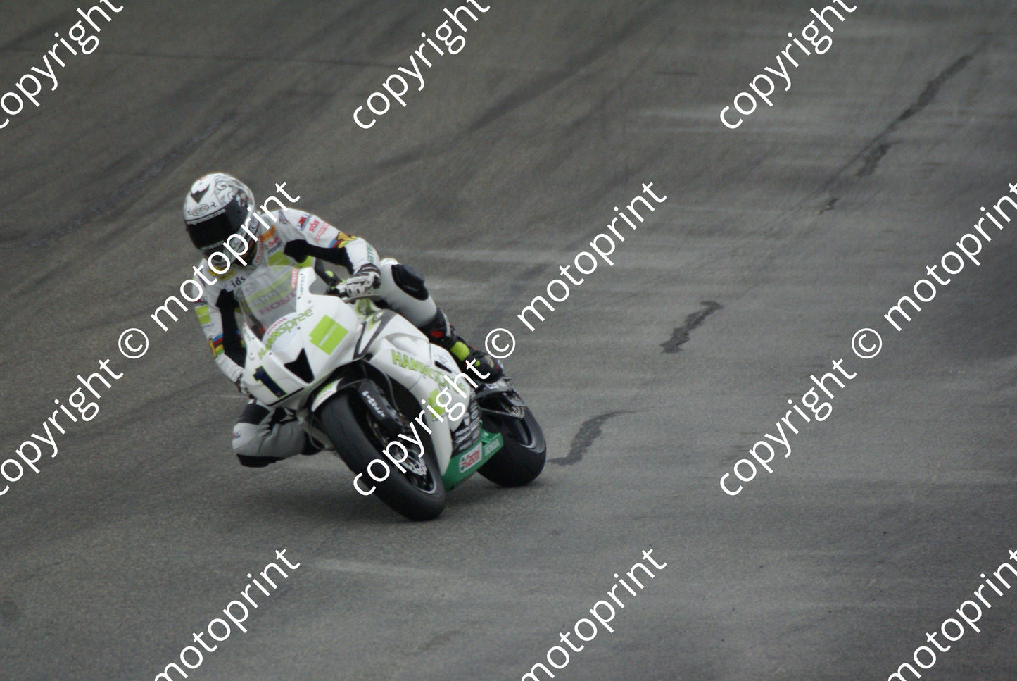 Pitt DSC09393