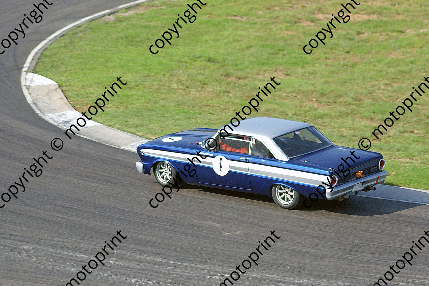 SL Falcon Passyutu DSC02146