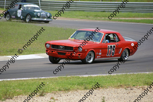 SL Mustang B Cook DSC02273
