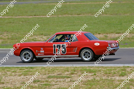 SL Mustang B Cook DSC02274