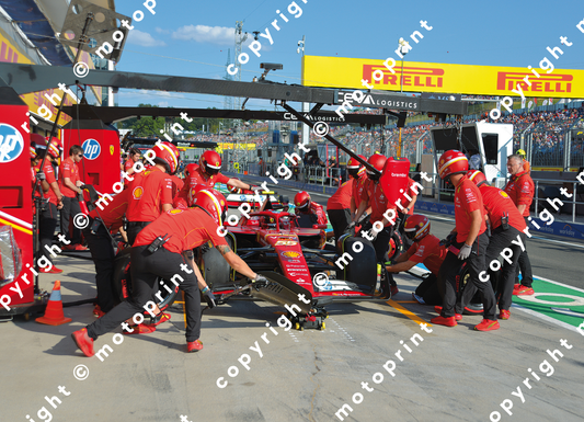 2024 C.Sainz Ferrari pit stop GP Hungary (courtesy Paolo D'Alessio)